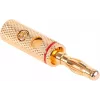 Ficha banana banhada a ouro CABLETECH conector de coluna com terminal de parafuso - 4mm