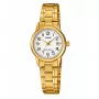CASIO LTP-V002G-7B2 relógio analógico de quartzo para senhora, caixa de aço inoxidável com revestimento iónico dourado de 31mm, mostrador prateado, bracelete