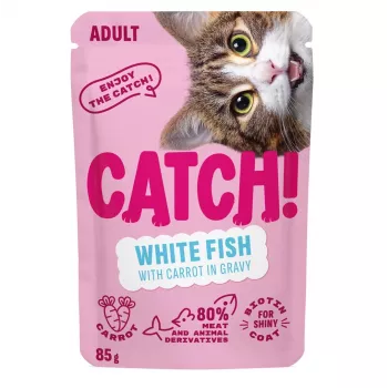 CATCH Peixe branco e cenoura em molho comida húmida para gatos, 85 g saco