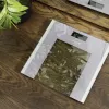 Balança de pessoas Cecotec Surface Precision Healthy peso máximo 180 cinzento/transparente