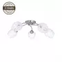 Candeeiro de teto CL17061-5 5x60W E27