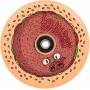 Roda Chubby Wheel 110mm Red Donut - roda para trotinete freestyle com rolamentos ABEC-9