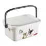 CURVER Multiboxx caixa de arrumação 3L com tampa e asa, design gatos e cães, transparente com impressão, 26x18x11cm