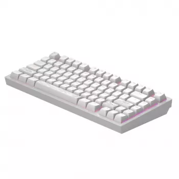 Dark Project Terra Nostra G3MS Moonstone Switch, RU Branco