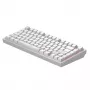 Dark Project Terra Nostra G3MS Moonstone Switch, RU Branco