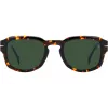 Óculos de sol DAVID BECKHAM DB-7098-S-86 Havana verde 51mm