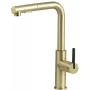DEANTE Hiacynt Misturadora de cozinha com bica extensível, cromada, monocomando, altura 370 mm