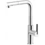 DEANTE Torneira de cozinha com bica extensível cromada