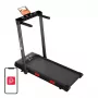 Passadeira elétrica dobrável DeerRun Z10Pro (preta)