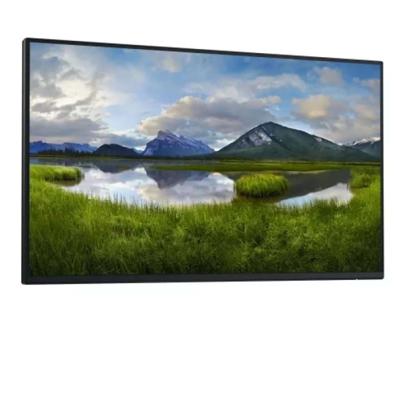 Dell Pro 24 Plus P2425HE Monitor 23,8 polegadas IPS FHD 1920x1080 8ms 250cd/m2 100Hz (Sem Base)