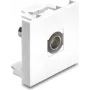 Delock Easy 45 Módulo BNC conector fêmea para BNC conector fêmea branco (91813)