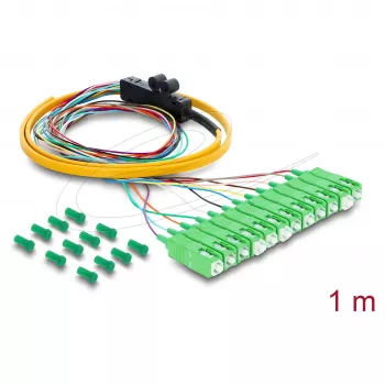 Delock Cabo de Fibra Ótica Pigtail Fanout 12 x Conector SC-APC Simplex para 12 x Extremidades Abertas 1 m