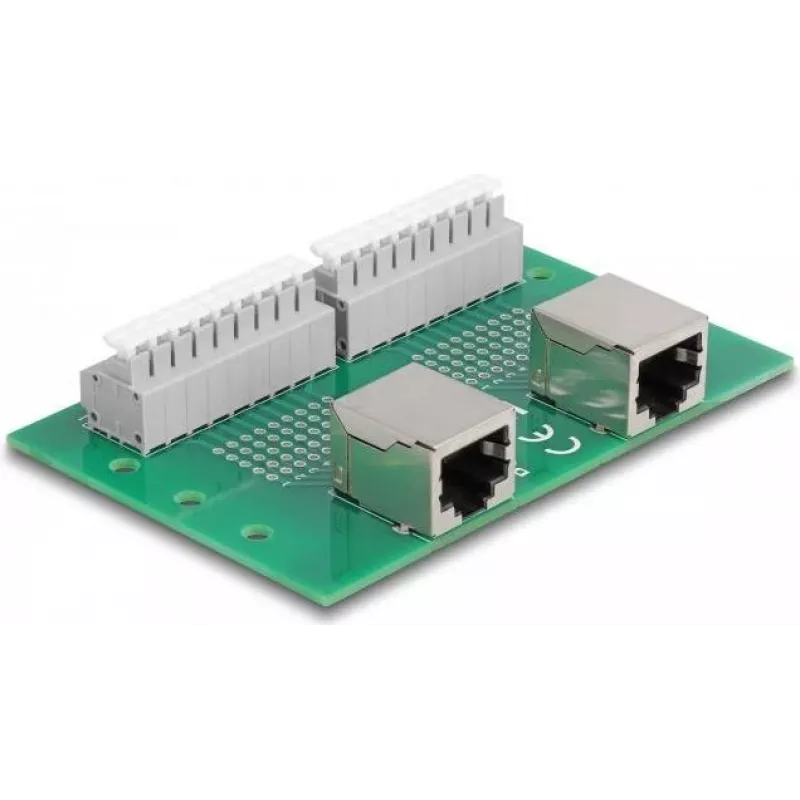 Delock RJ45 2 x conector fêmea para 2 x bloco de terminais com botão de pressão para calha DIN (66994)