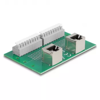 Delock RJ45 2 x conector fêmea para 2 x bloco de terminais com botão de pressão para calha DIN angular (66995)