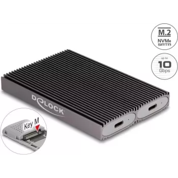 Delock caixa USB Type-C Dual Combo para 2 x M.2 NVMe PCIe ou SATA SSD - sem ferramentas