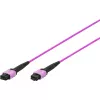 DIGITUS OM4 cabo de patch MPO para MPO de 12 fibras, 2m, método A, violeta DK-2566-02/4