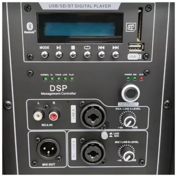 Coluna ativa DNA PROFESSIONAL DNA SPX15 DSP 15 polegadas