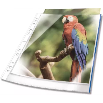 DURABLE capas de documentos A4 com abertura superior, cristalino, com faixa de encadernação vermelha, 100 mícron, pack de 25 265503