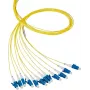 EFB Elektronik Pigtail de fibra LC 62.5/125 OM1 azul 2m