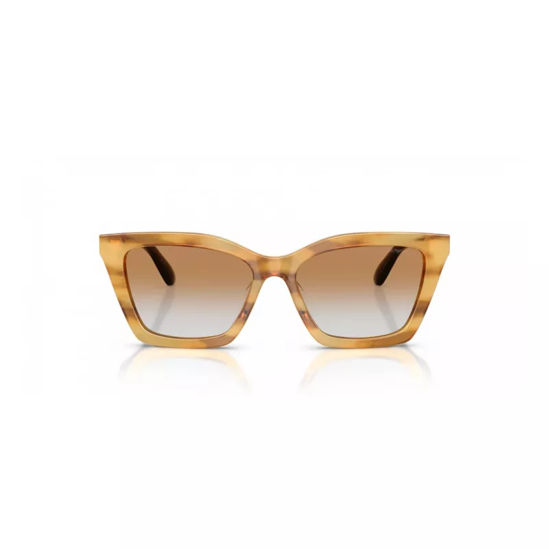 Óculos de sol EMPORIO ARMANI para mulher EA4250U62692Q gatinho transparente cinzento 54mm