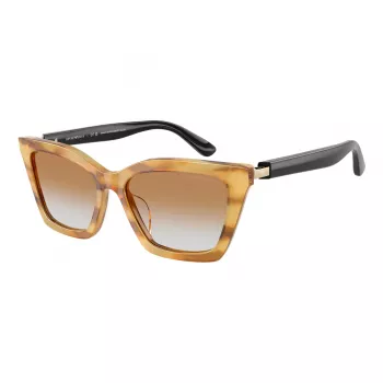 Óculos de sol EMPORIO ARMANI para mulher EA4250U62692Q gatinho transparente cinzento 54mm