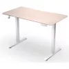 ENDORFY Atlas S secretária elétrica de altura ajustável madeira clara 120x60 cm