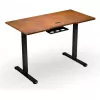Secretária de altura ajustável ENDORFY Atlas S Electric nogueira/preto 120x60 cm