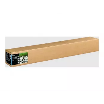 Rolo de papel de tinta Epson Fine Art II Cotton Smooth Matte Natural White 300g/m² (111,76cm x 15m)