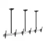 Equip Pro Suporte de teto triplo para monitores de 45-50", 50 kg, Preto/Prateado 650374