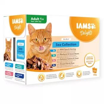 Eukanuba IAMS Delights Adult Sea in Jelly comida húmida para gatos 12x85g