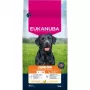 Eukanuba Premium Nutrition Junior Large & Giant Breed Ração seca para cães, frango 15kg