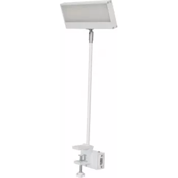 EUROLITE LED KKL-40 projetor 3CT branco 41600600