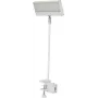 EUROLITE LED KKL-40 projetor 3CT branco 41600600
