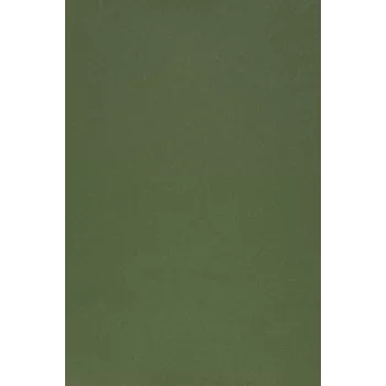 Película universal Color Shinning da Evelatus para cortador de ecrã verde militar