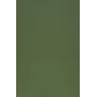 Película universal Color Shinning da Evelatus para cortador de ecrã verde militar