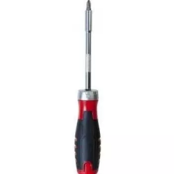 EXERTIS CONNECT Conjunto de chave de fendas de catraca de 12 peças com bits comuns (815631)