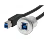 Cabo adaptador EXSYS para montagem em painel conector fêmea USB-B para conector macho USB-B, USB 3.2 Gen 1, 30 cm, caixa metálica EX-49187