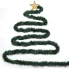 Fio de Natal Extralink, corrente decorativa 5m - fita LED alimentada por USB, branco quente, para interior