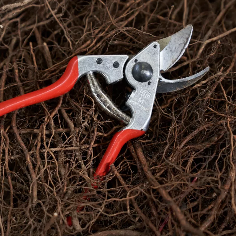 FELCO 14 tesoura de poda de uma mão, tamanho S