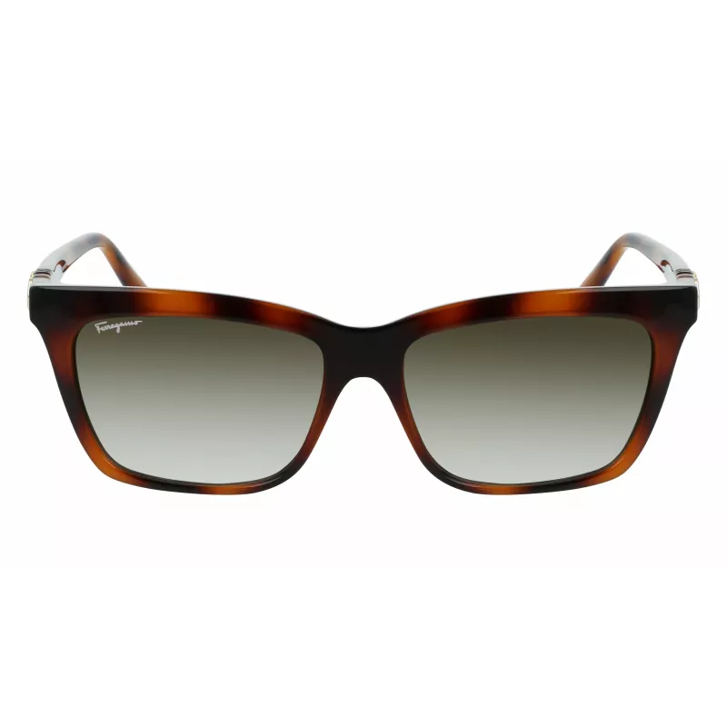 Ferragamo SF1027S-214 óculos de sol de mulher Havana acetato quadrado castanho degradê 55mm