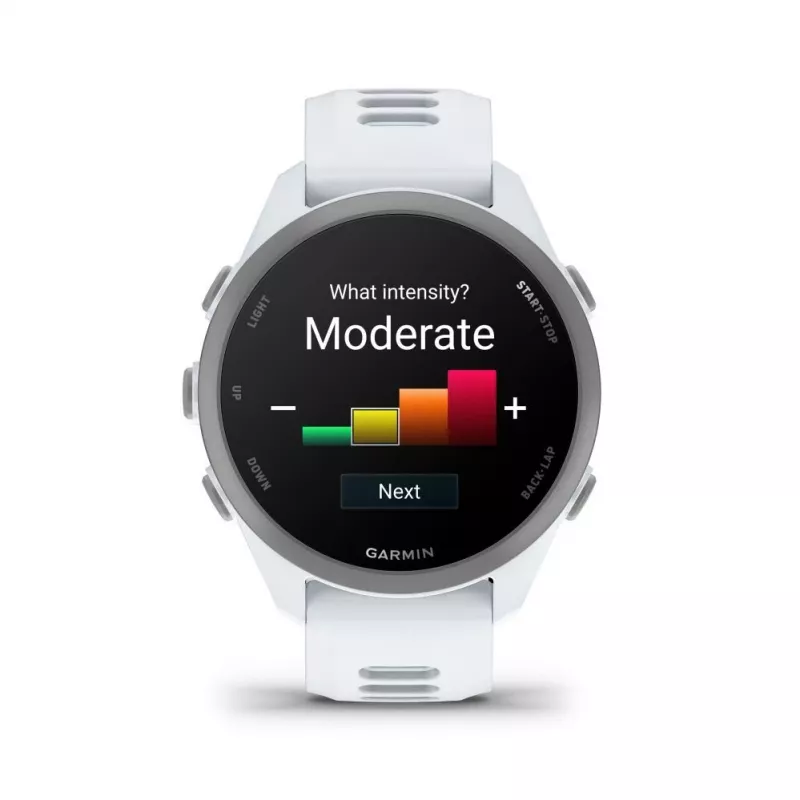 Garmin Forerunner 170 Music, Whitestone com pulseira Whitestone/Cloud Blue