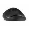 Rato ergonómico sem fios triple-mode Gembird MUSW3-9B-01 (2,4 GHz + Bluetooth + USB-C), 2400 DPI, 9 botões, preto