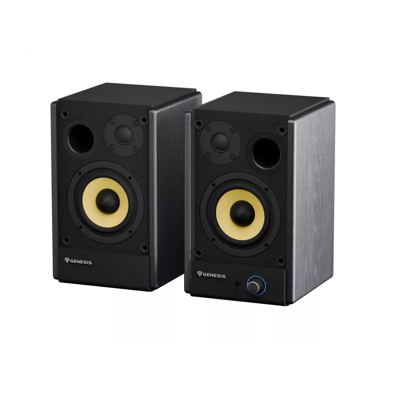 Colunas de secretária Genesis Arsen 402BT NGS-2415, 2.0, 60 W, Bluetooth 5.3, preto