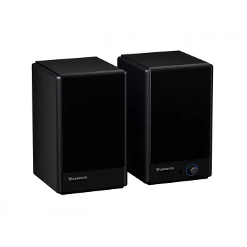 Colunas de secretária Genesis Arsen 402BT NGS-2415, 2.0, 60 W, Bluetooth 5.3, preto
