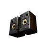 GENESIS ARSEN 402BT 2 vias bronze com fios e sem fios 60 W