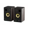 GENESIS ARSEN 402BT 2 vias bronze com fios e sem fios 60 W
