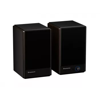 GENESIS ARSEN 402BT 2 vias bronze com fios e sem fios 60 W