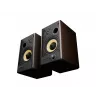 GENESIS ARSEN 502BT 2 vias bronze com fios e sem fios 60 W