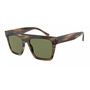 Óculos de sol unissexo GIORGIO ARMANI AR8177-54092A - Armação Havana listrada, lentes verde-escuras, 52 mm