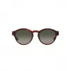 GIORGIO ARMANI Óculos de sol de mulher AR8146-596271 Havana Acetato Verde Degradê 50/15/145 mm